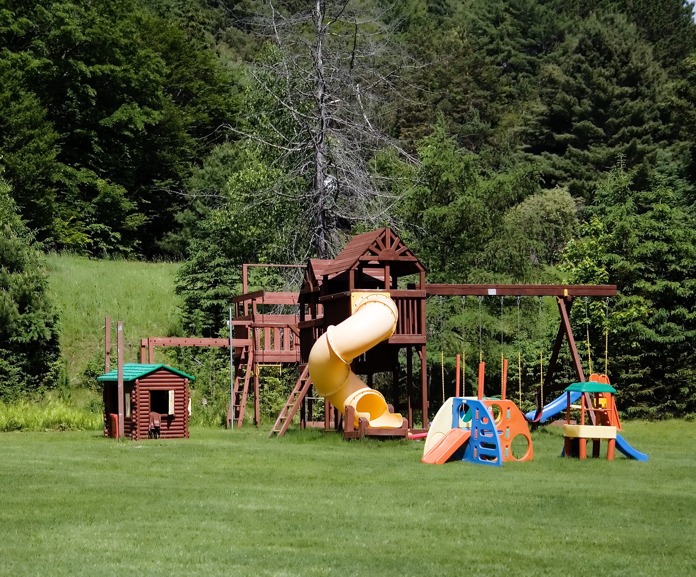 Colorful playground in grassy area